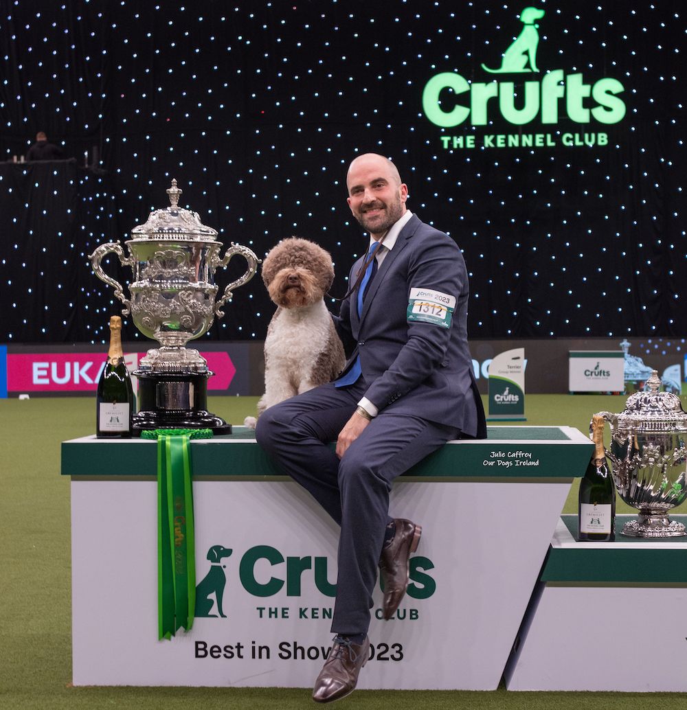 Snow Business Like Show Business!